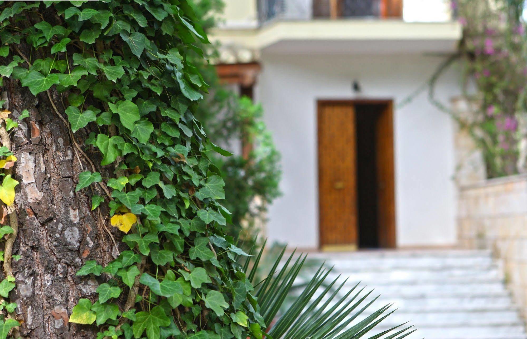 B&B Viale dei Pini Castellaneta Marina Exterior foto